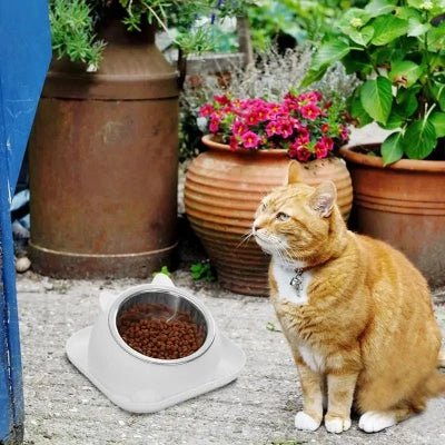 CatTiltProof™ - Blanc - Naatlo